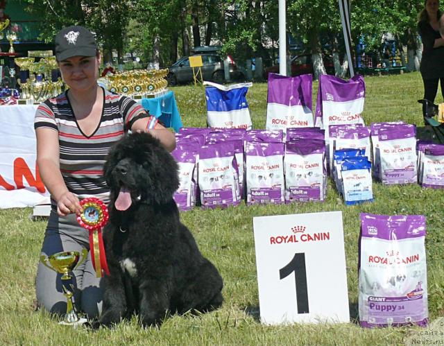 Фотография № 42225