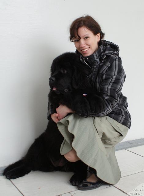 Фото: ньюфаундленд Aquatoriya Kelvin Lambordghini (Акватория Келвин Ламборджини), Anastasiya Mischenko (Анастасия Мищенко)