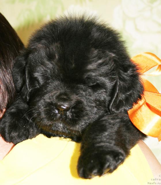 Фото: Бегущая по волнам Харизма