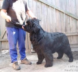 Фотография № 42318