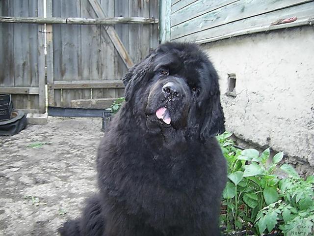 Фотография № 42347