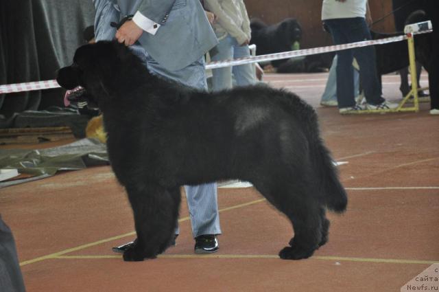 Фотография № 42374