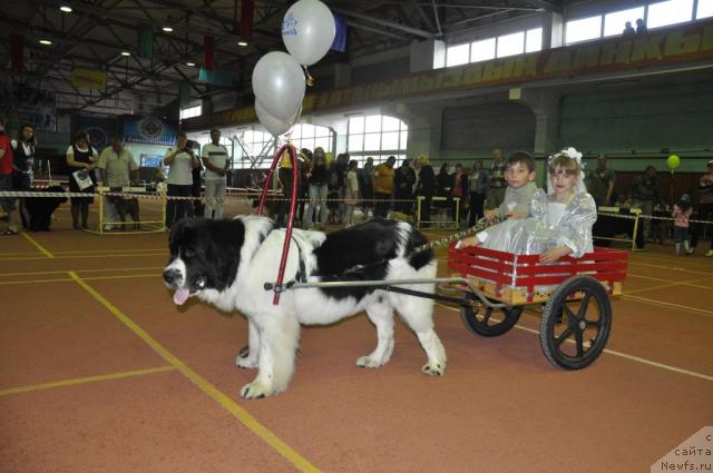 Фотография № 42380