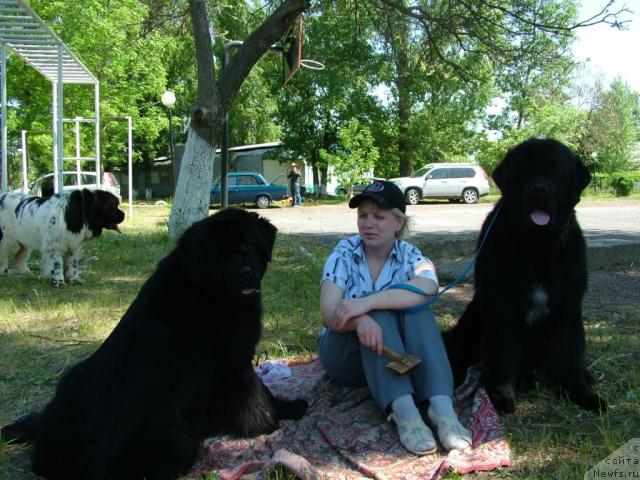 Фотография № 42386