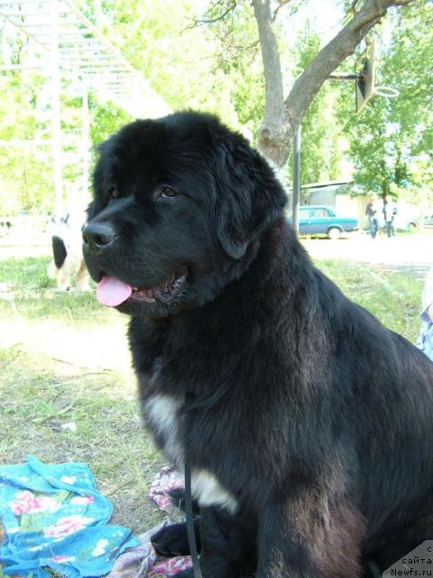 Фотография № 42387