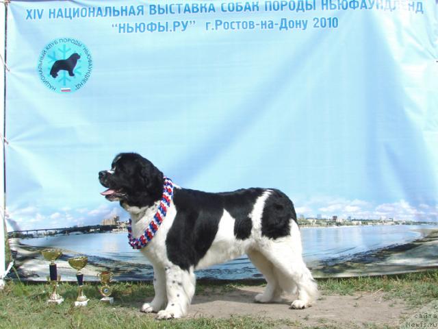 Фотография № 42406