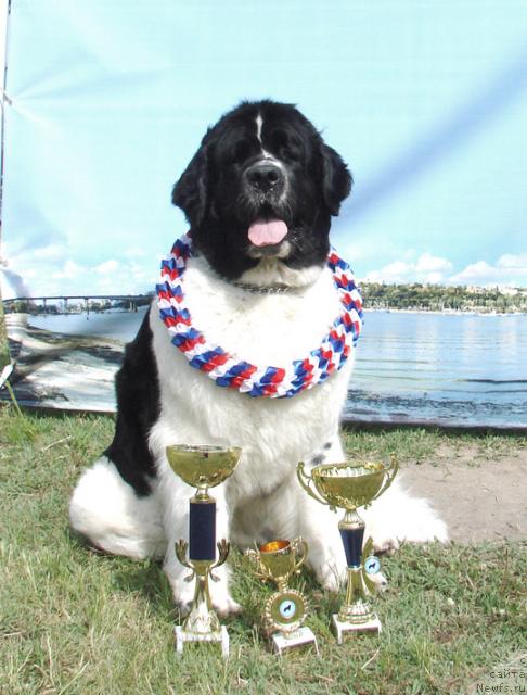 Фотография № 42407