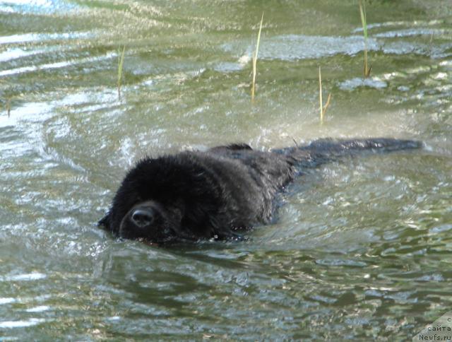 Фотография № 42412