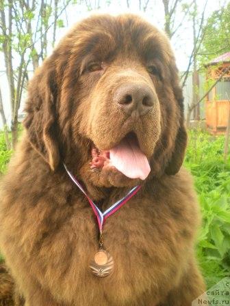 Фотография № 42421