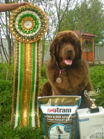 Фотография № 42422