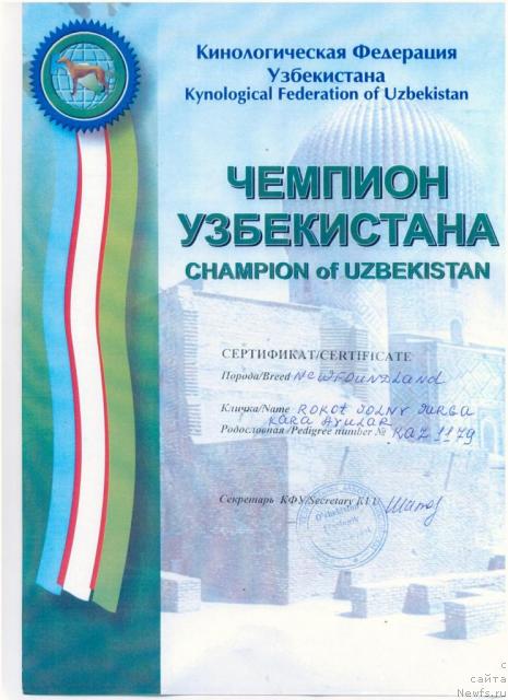 Фотография № 42423