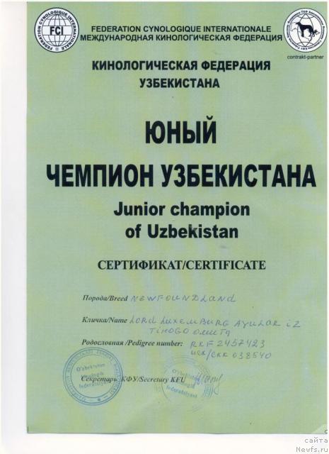 Фотография № 42425