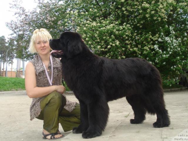 Фотография № 42483