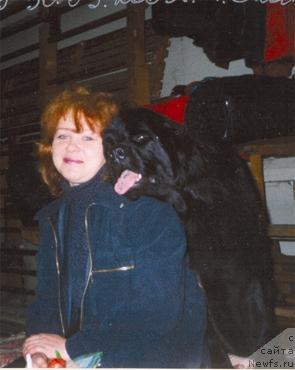 Фото: ньюфаундленд Erhana Marleone (Ерхана Марлеон)