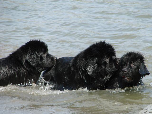 Фотография № 42501