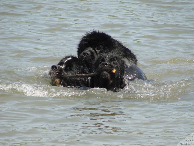 Фотография № 42504