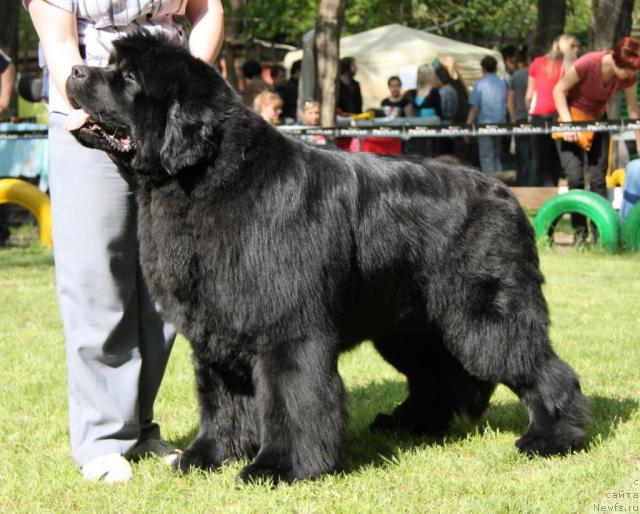 Фотография № 42510