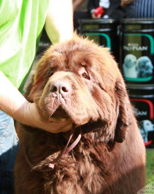 Фотография № 42511