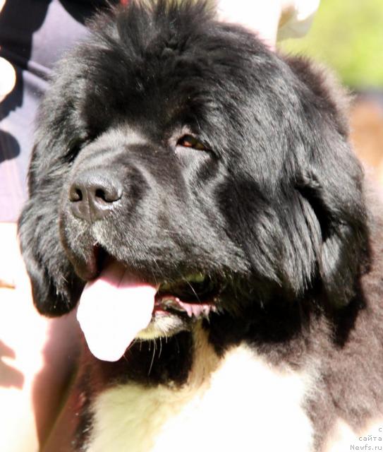 Фотография № 42512