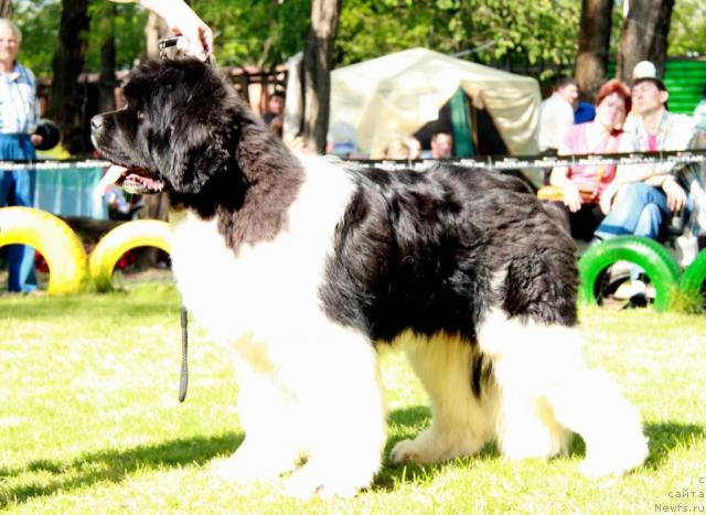 Фотография № 42513