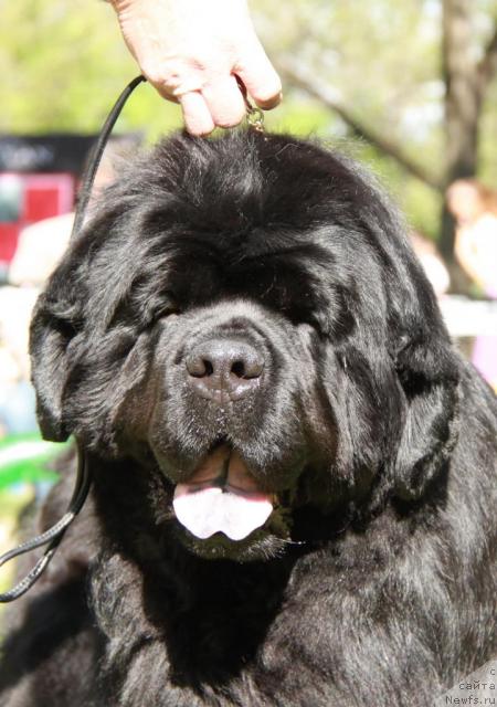 Фотография № 42514