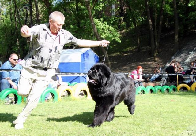 Фотография № 42515