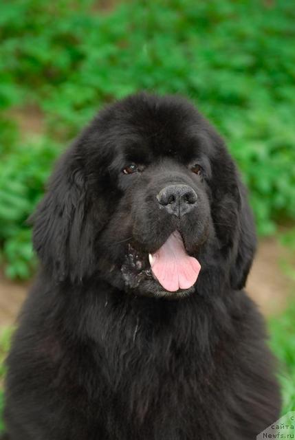 Фотография № 42526