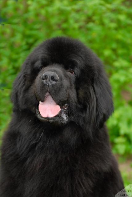 Фотография № 42535