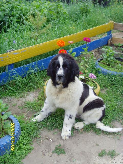 Фото: Natal'ya Povedskaya (Наталья Поведская)