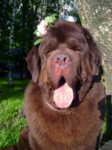 Фотография № 42597