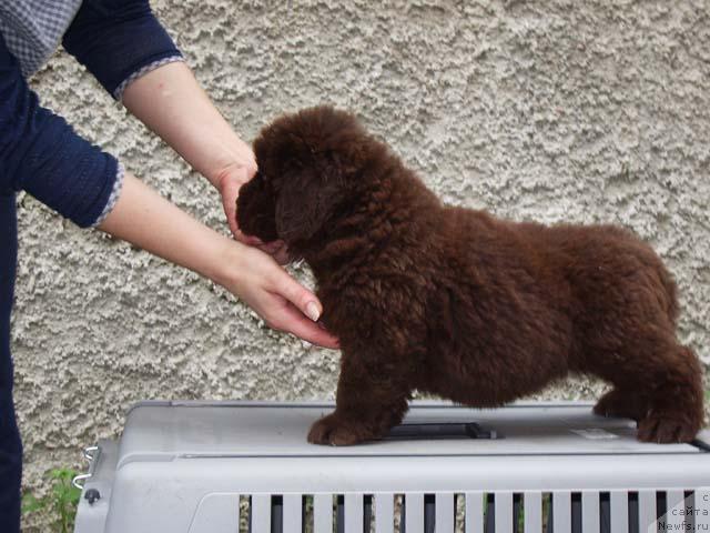 Фотография № 4262