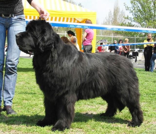 Фотография № 42639