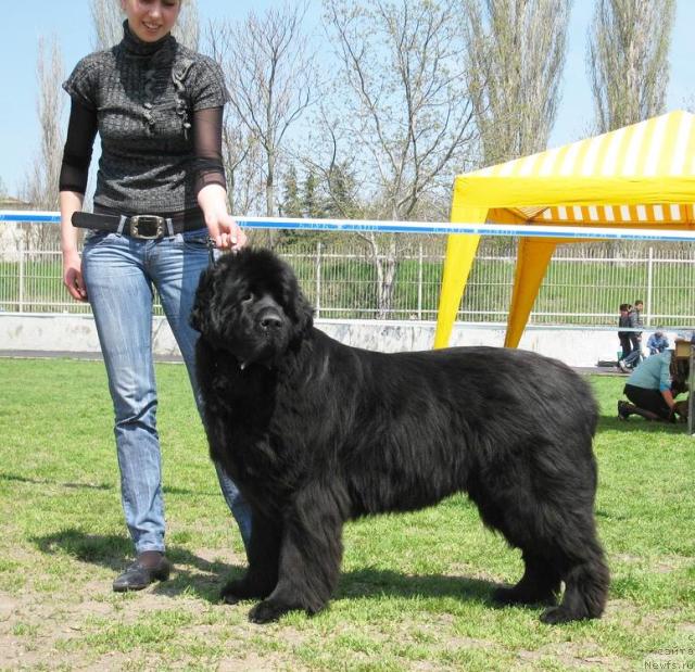 Фотография № 42640