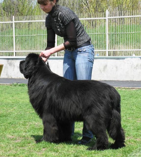 Фотография № 42641