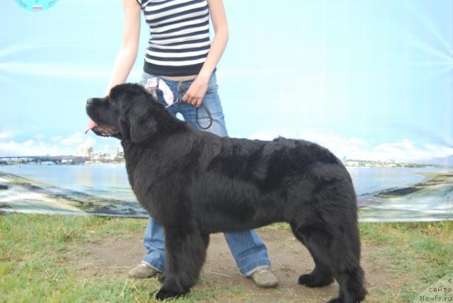 Фотография № 42646