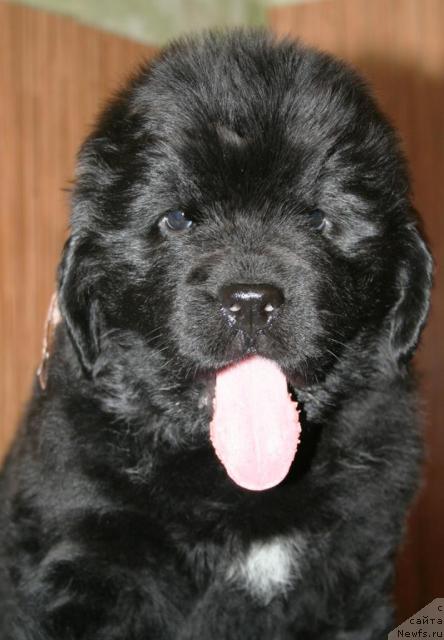 Фото: Бегущая по волнам ХЭНД МЭЙД