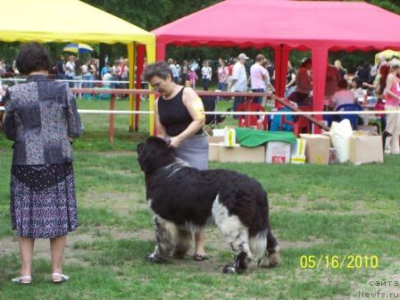 Фотография № 42674