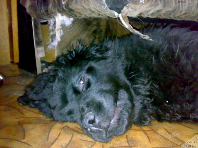 Фотография № 42676