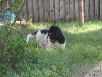 Фотография № 42683