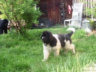 Фотография № 42685