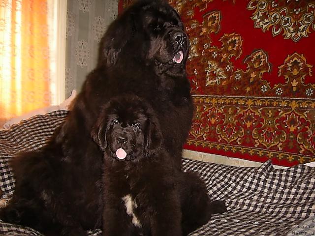 Фотография № 42687