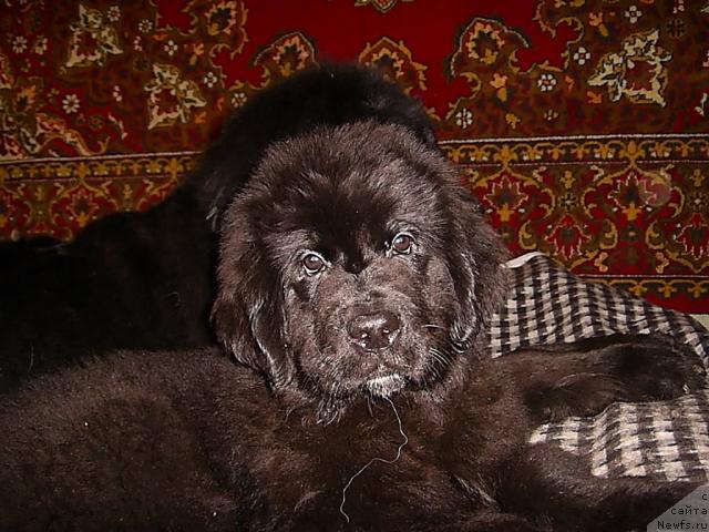 Фотография № 42692