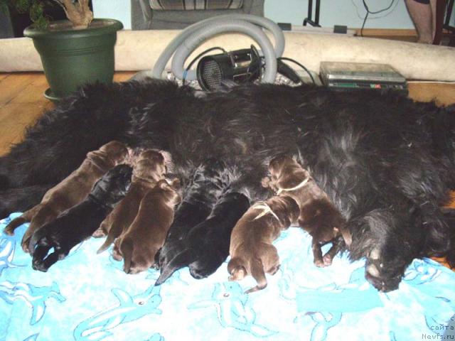 Фотография № 4271