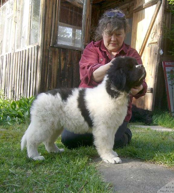 Фотография № 42750