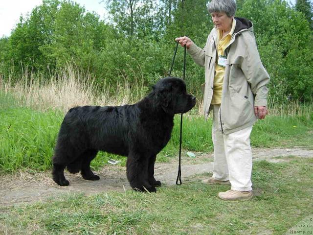 Фотография № 42763