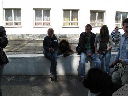 Фото: Шериф