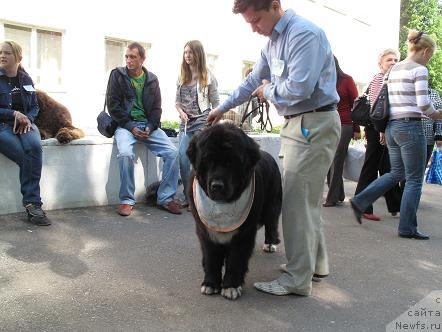 Фото: Маг Исполин Любава