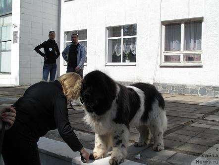 Фото: Веснушка