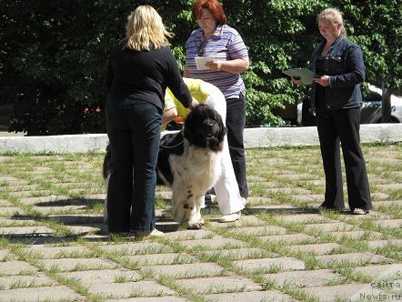 Фото: еснушка