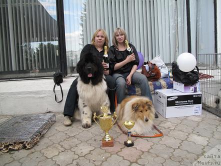 Фото: посе беста Веснушка и моя колли Дени